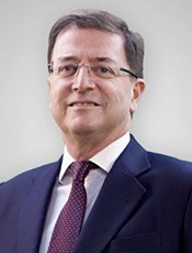 Prof. Luis Huete